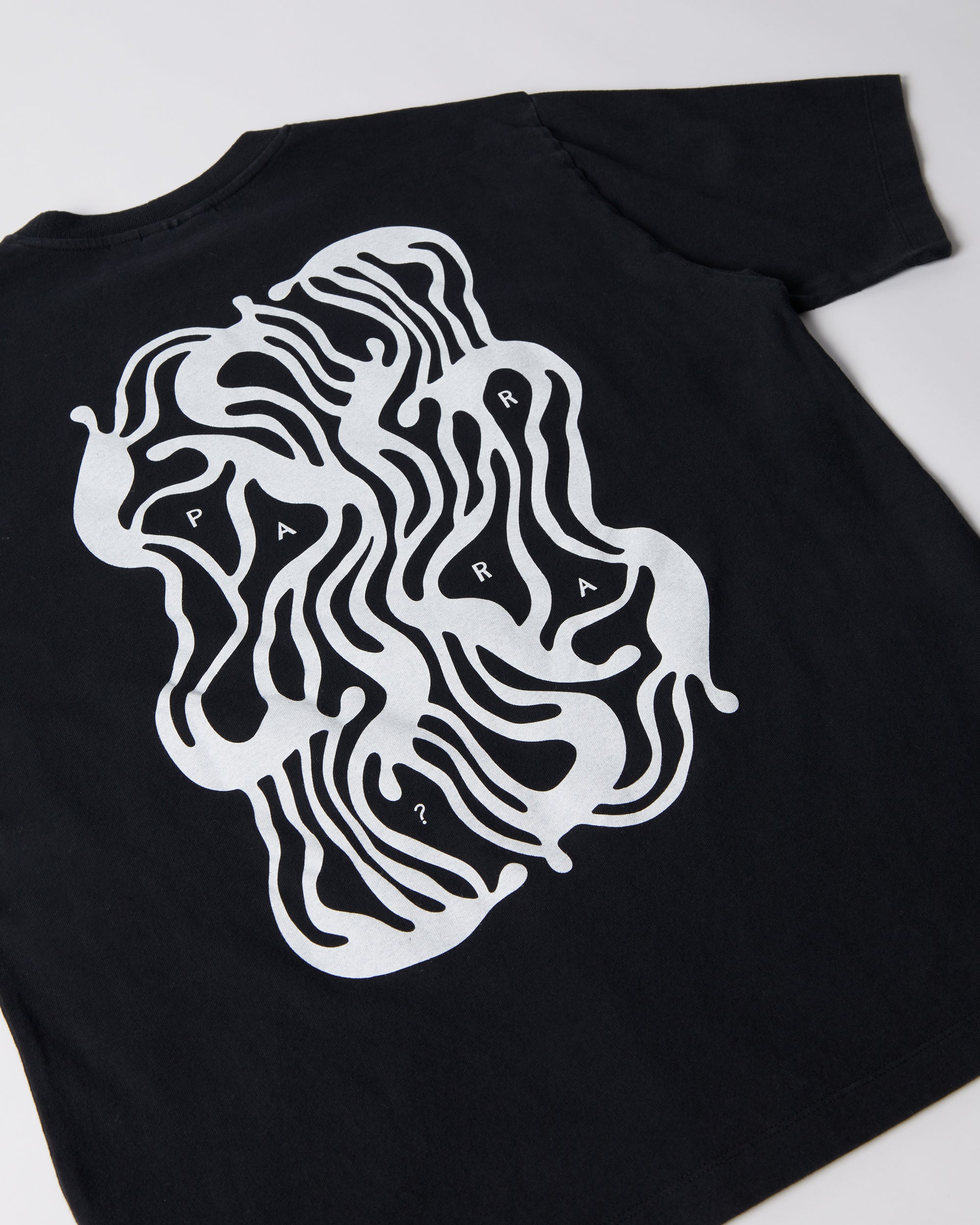 The Blob T-Shirt (Washed Black)