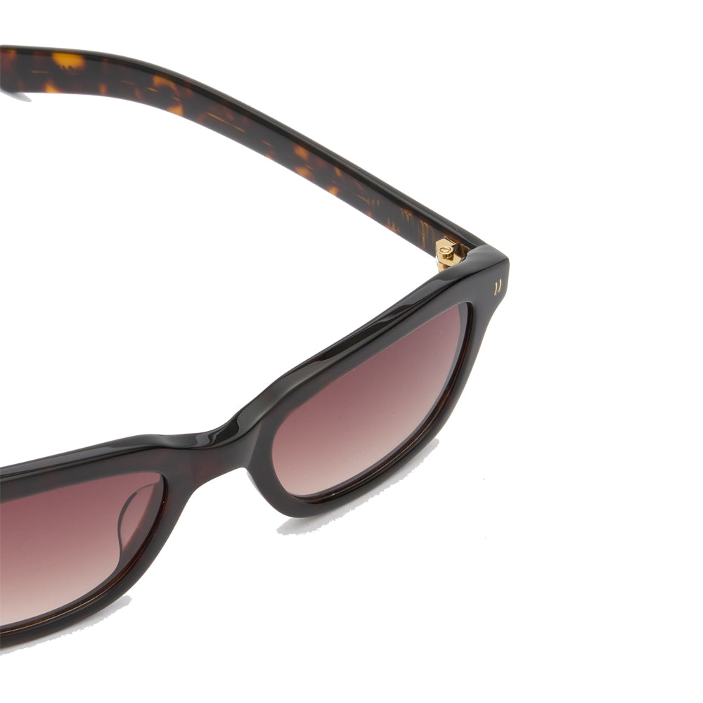 CLINT Dark Tortoise/Brown Gradient Lens