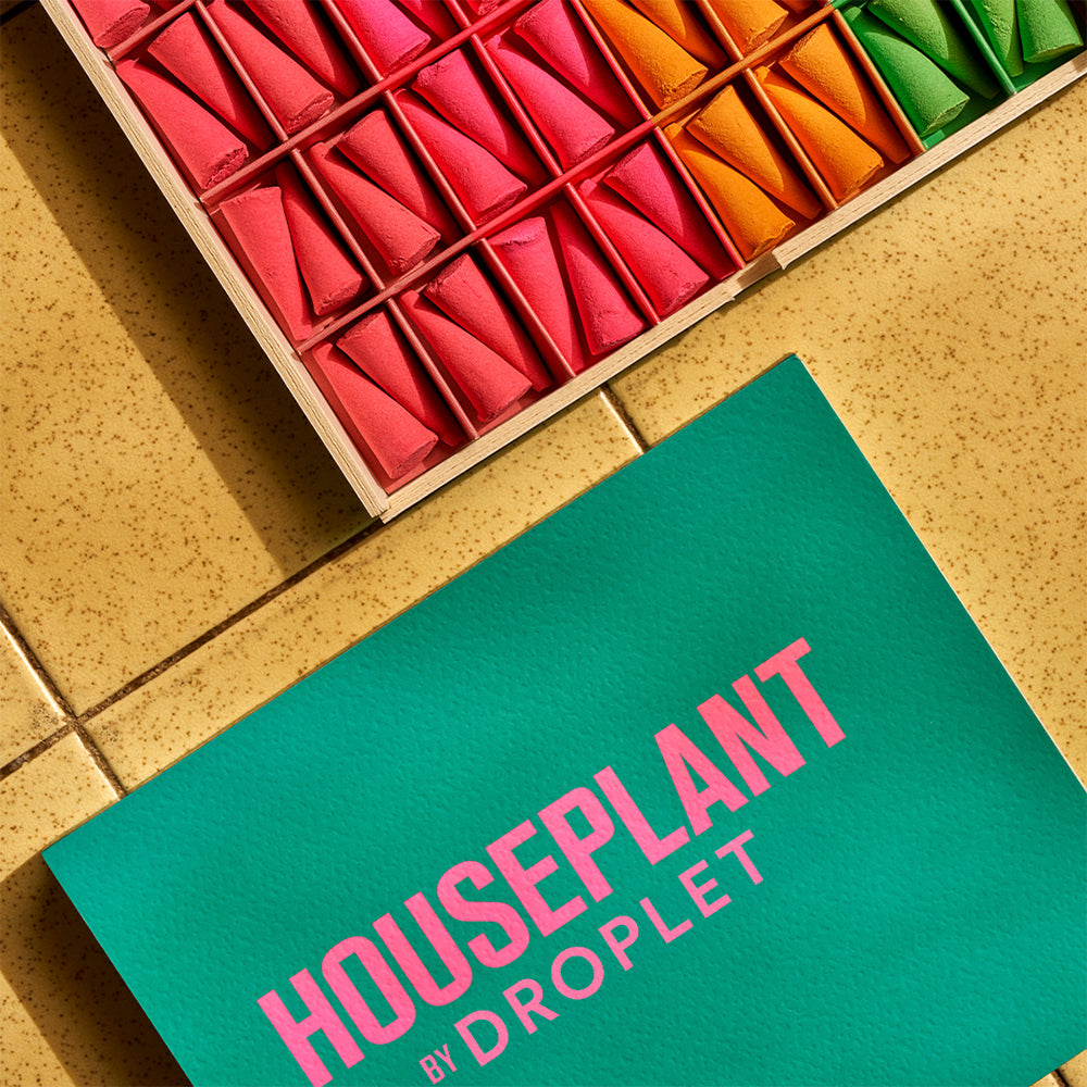 Houseplant x Droplet Ash & Scent