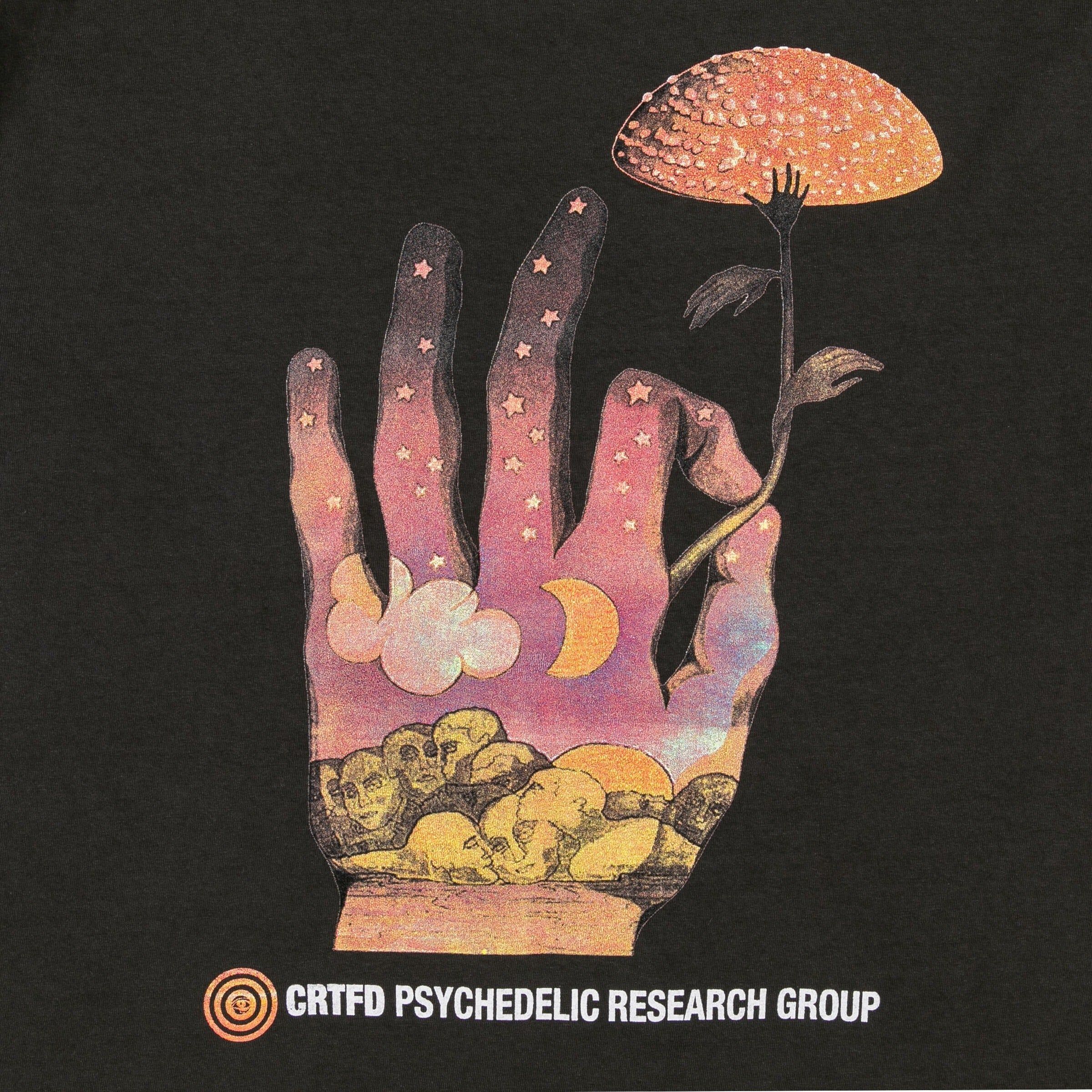 Fly Agaric T-Shirt (Vintage Black)