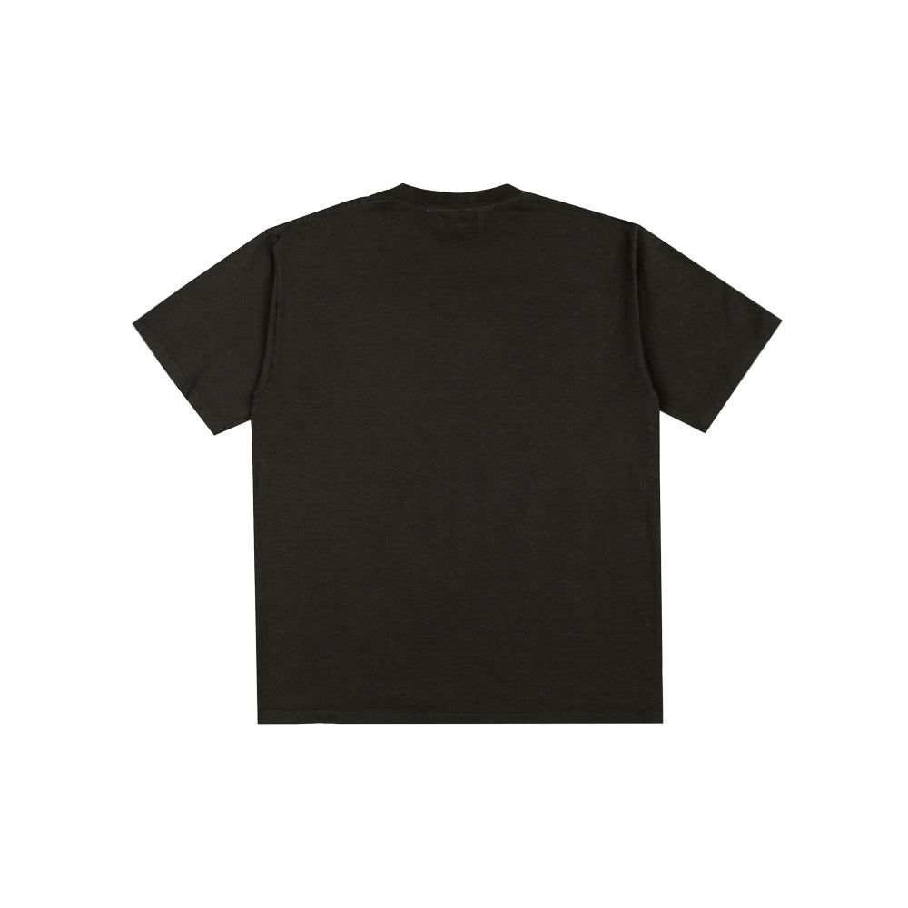 Fly Agaric T-Shirt (Vintage Black)