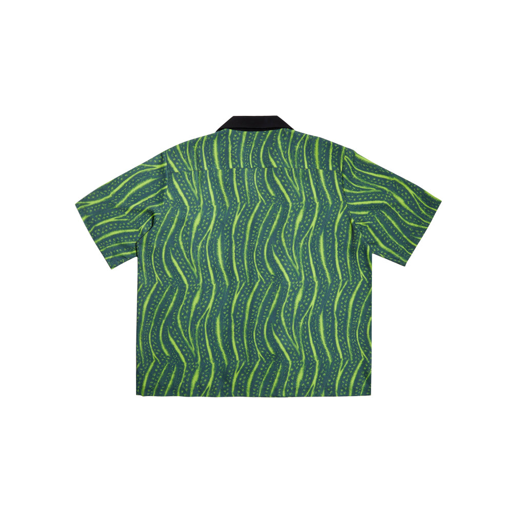 قميص كورنو (أخضر)