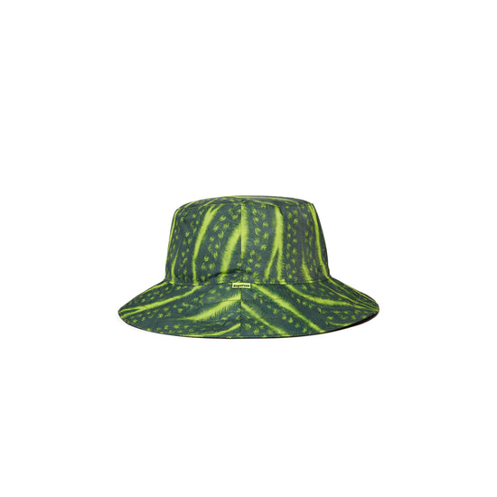قبعة دلو كورنو (أخضر)