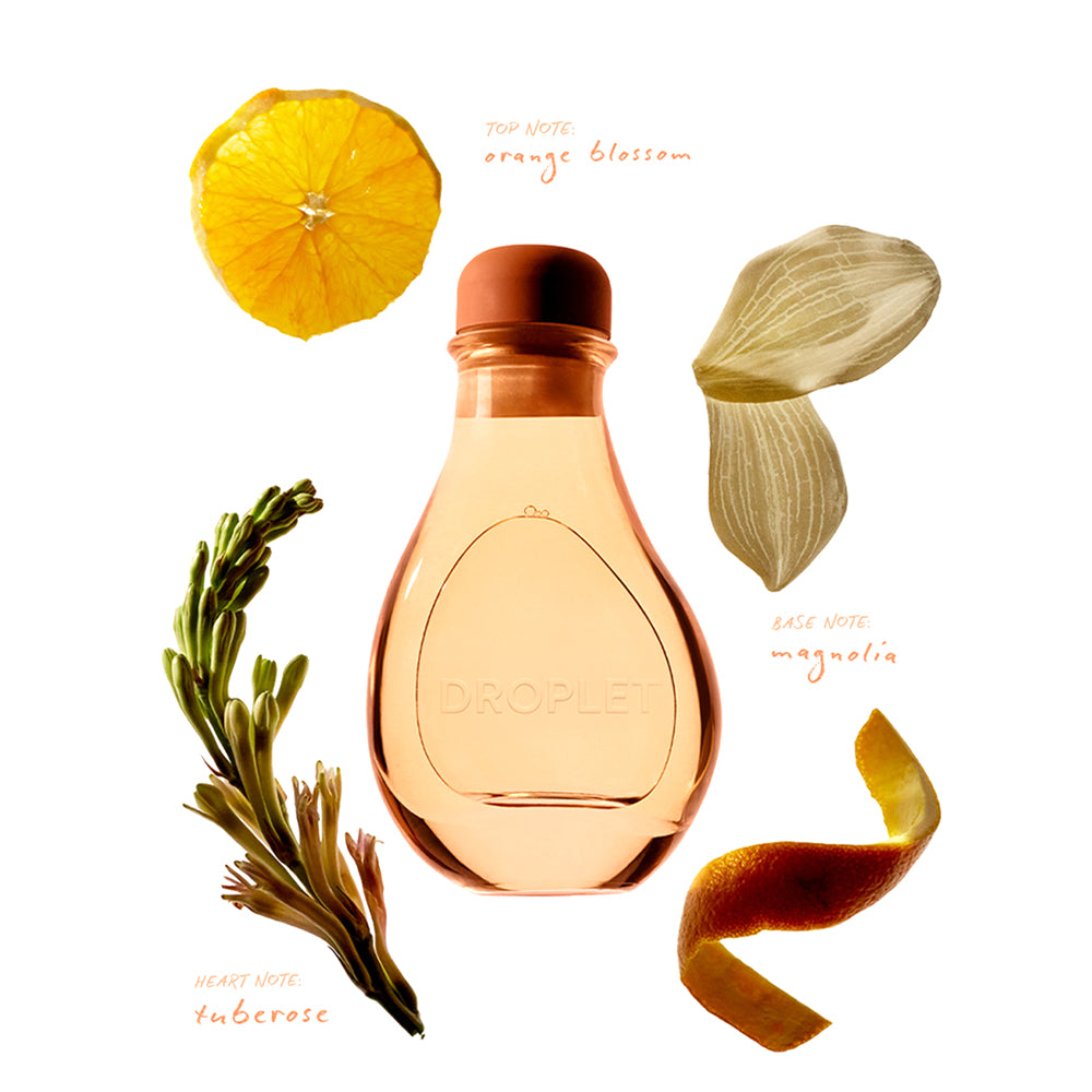 Focus - Reed Diffuser