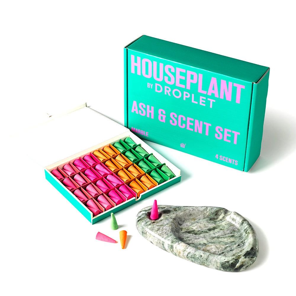 Houseplant x Droplet Ash & Scent