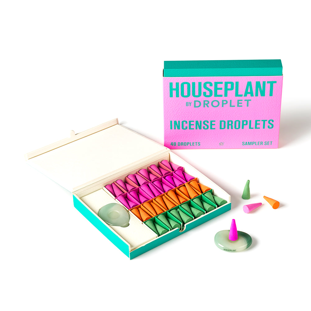 Houseplant x Droplets By Seth