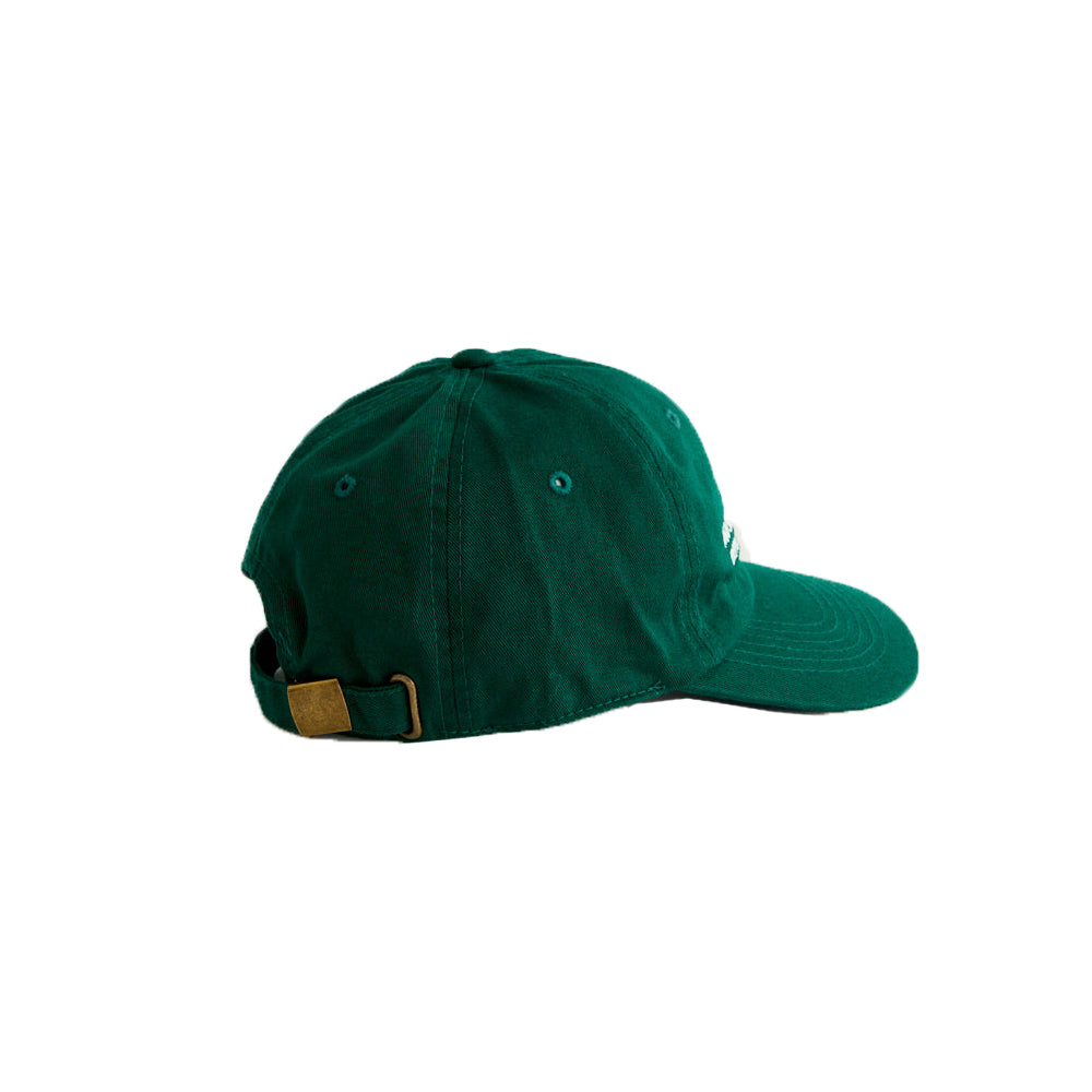 Natural Studies Dad Hat - Forest