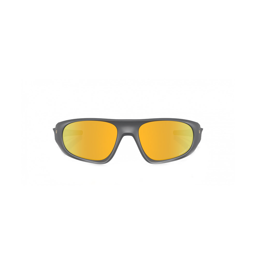 Neoforma - Matte Carbon/Prizm 24K Polarized