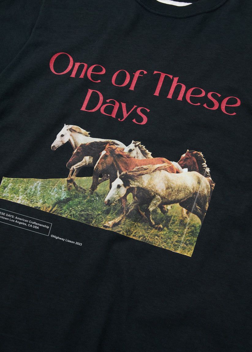 Wild Horses Short Sleeve T-Shirt (Washed Black)