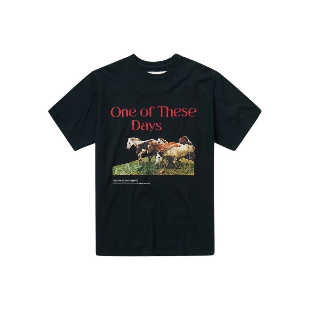 Wild Horses Short Sleeve T-Shirt (Washed Black)