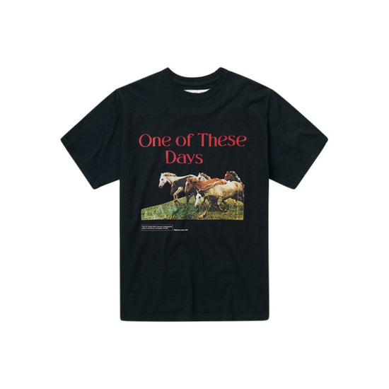 Wild Horses Short Sleeve T-Shirt (Washed Black)
