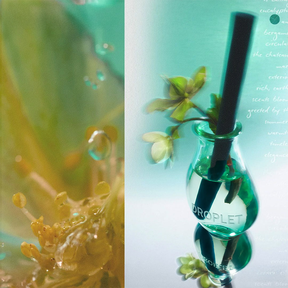 Power - Reed Diffuser