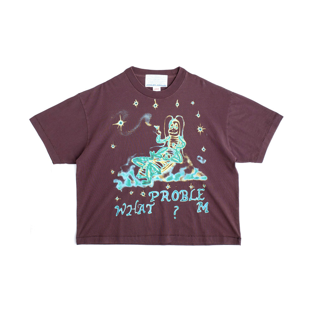 What Problem? Tee - Vintage Brown
