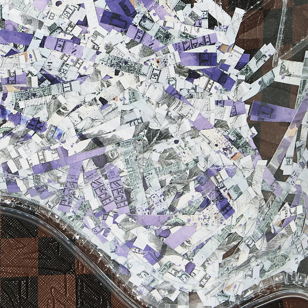 Shredded Money Dlxsv Backpack - Brown