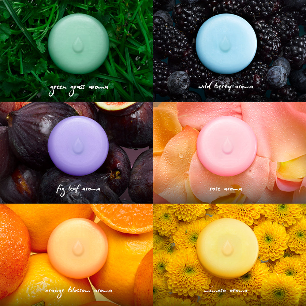 Wax Melt - Scented Multipack (6x Aromas)