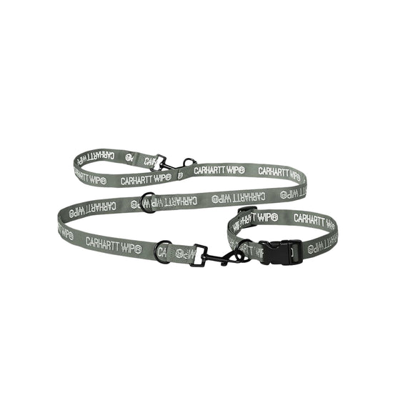 Tour Dog Leash & Collar (Smoke Green/Reflective)