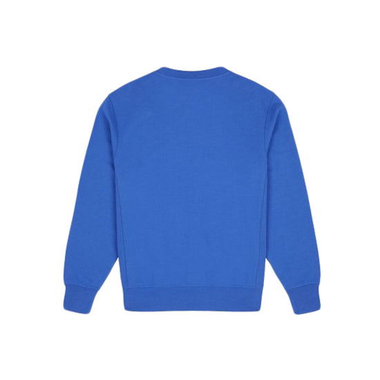 Mount Vista Sweatshirt (Satin Sky)