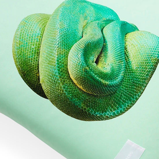 Snake Pure Poplin Pillow Case (Pale Green)